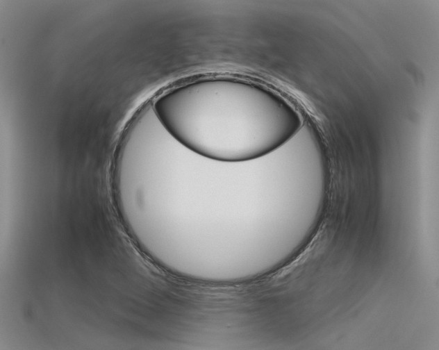 X0000115741264200911121055