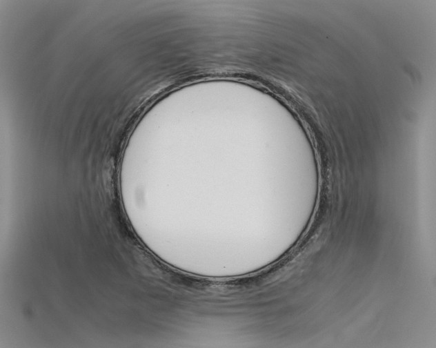X0000115741265200911121055