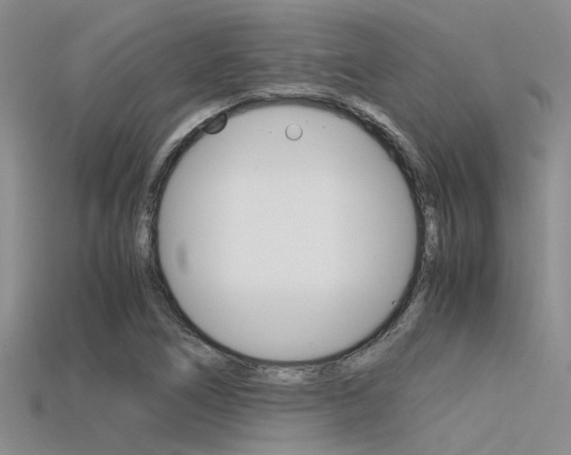 X0000115741266200911121055