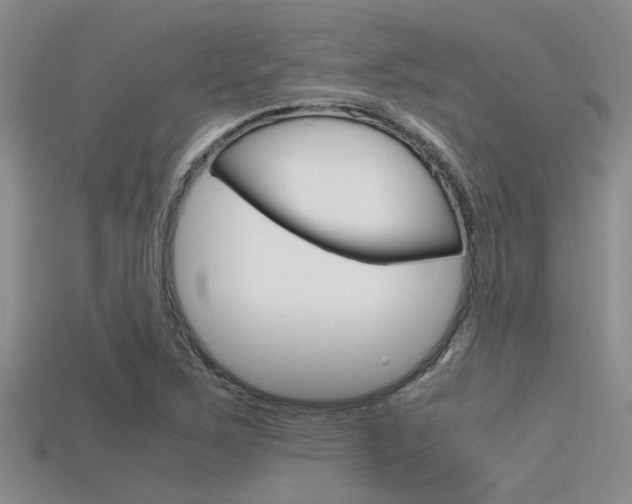 X0000115741267200911121055