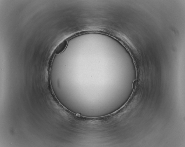 X0000115741268200911121055