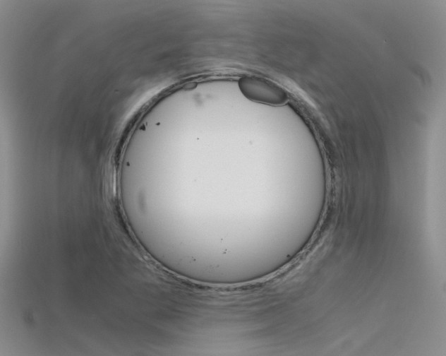 X0000115741269200911121055