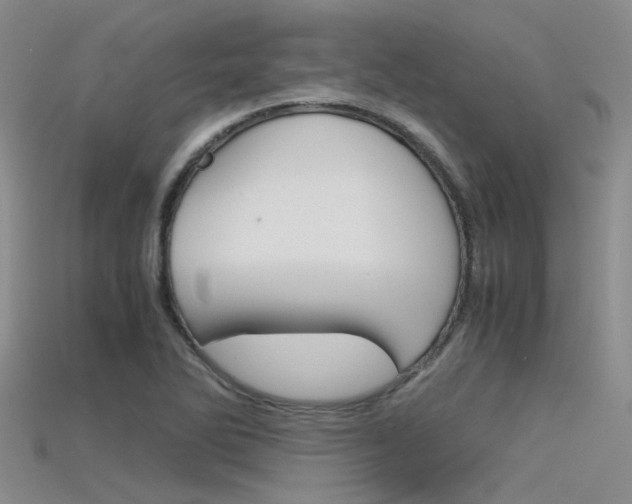 X0000115741270200911121055