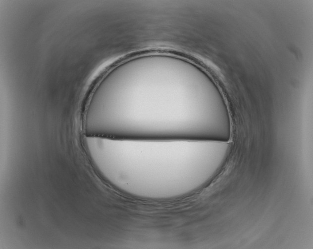 X0000115741271200911121055
