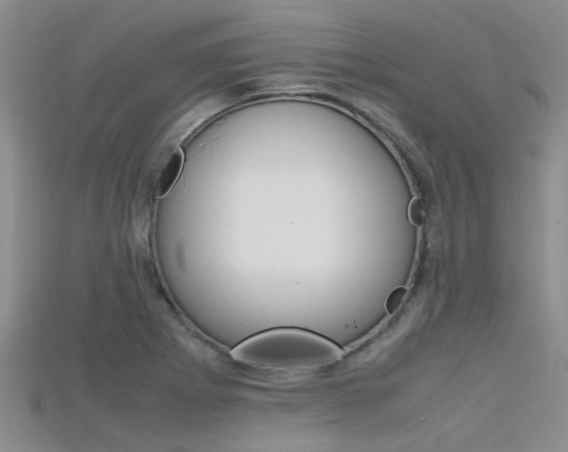 X0000115741273200911121055