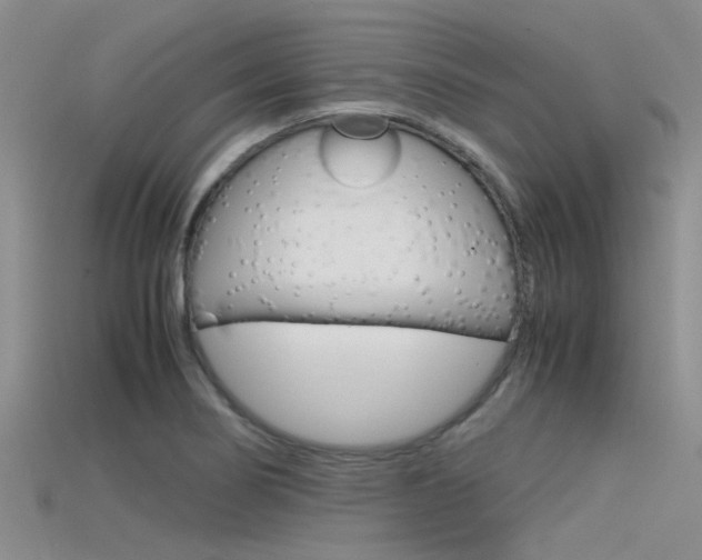 X0000115741274200911121055