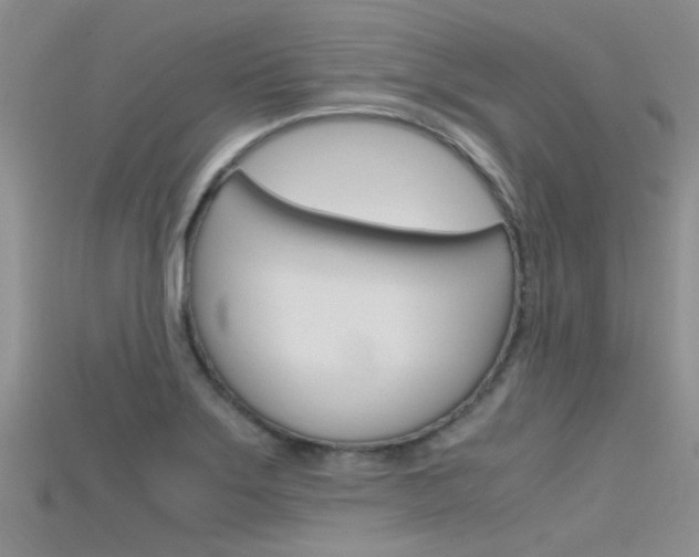 X0000115741275200911121055