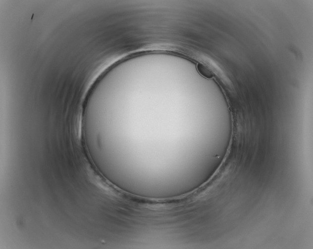 X0000115741276200911121055