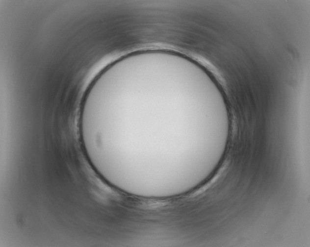 X0000115741278200911121055