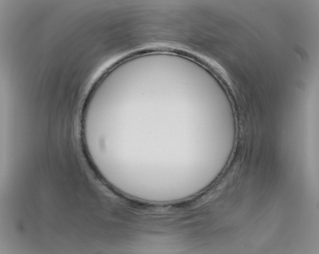 X0000115741279200911121055