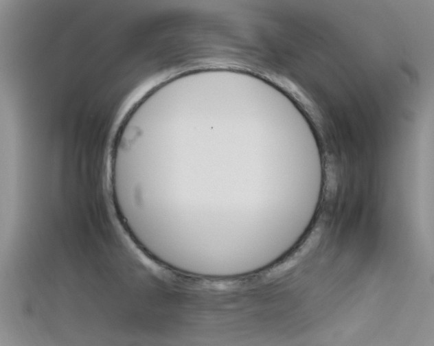 X0000115741286200911121054