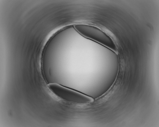 X0000115741288200911121054