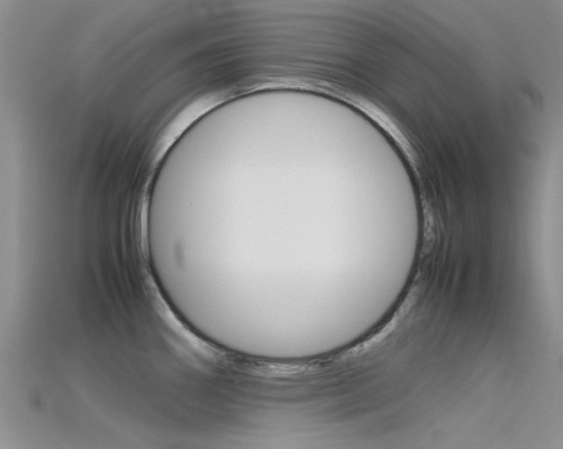 X0000115741290200911121054