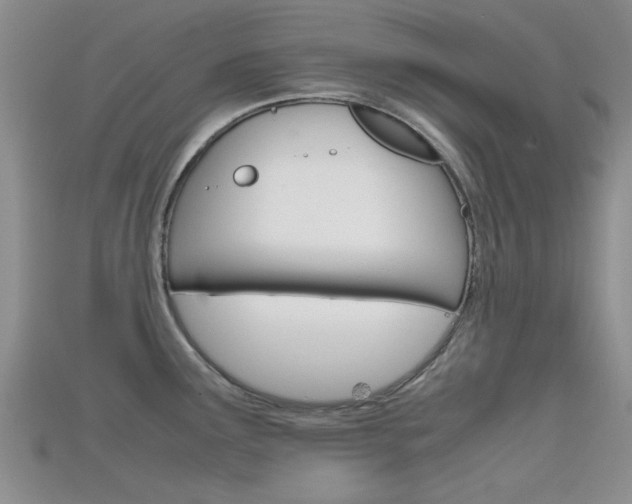 X0000115741291200911121054