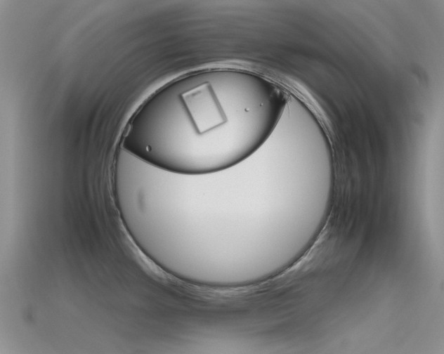 X0000115741292200911121054
