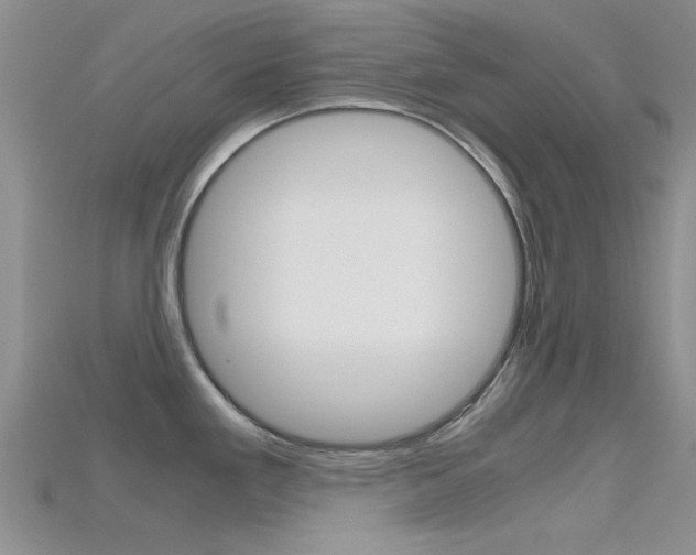 X0000115741293200911121054