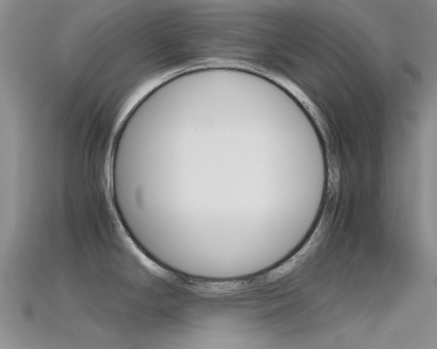 X0000115741294200911121054