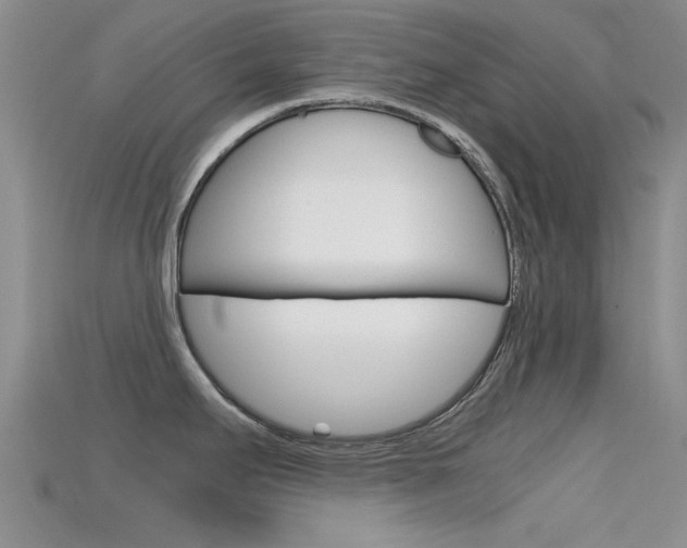 X0000115741295200911121054