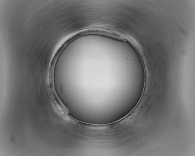 X0000115741296200911121054