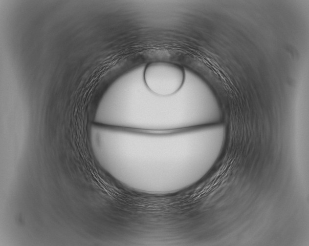 X0000115741297200911121054