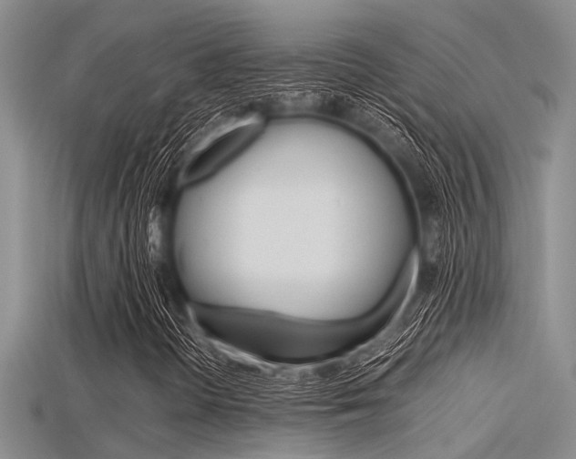 X0000115741298200911121054