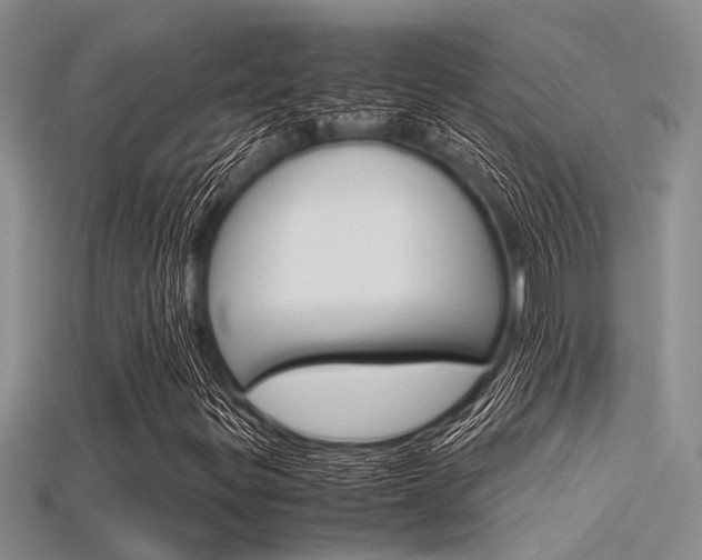 X0000115741299200911121054