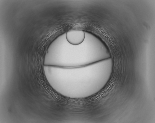 X0000115741301200911121054