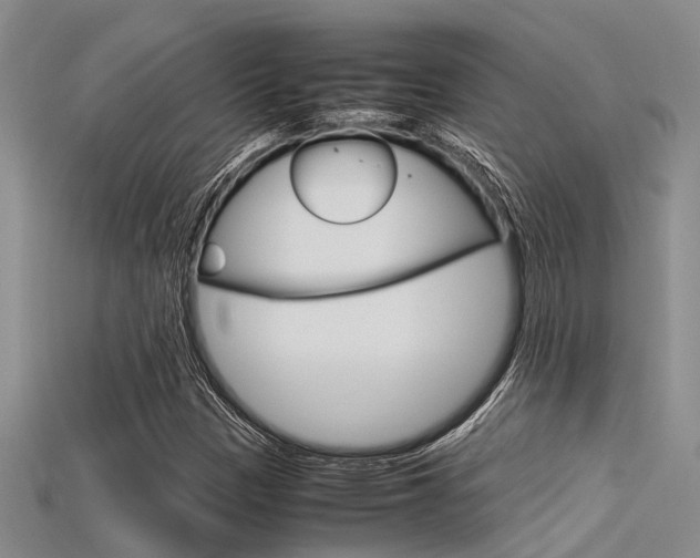 X0000115741305200911121054