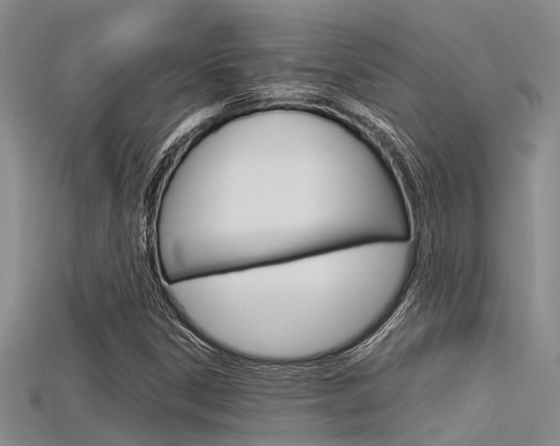 X0000115741306200911121054