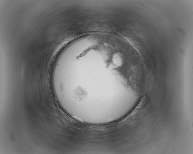 X0000115741307200911121054