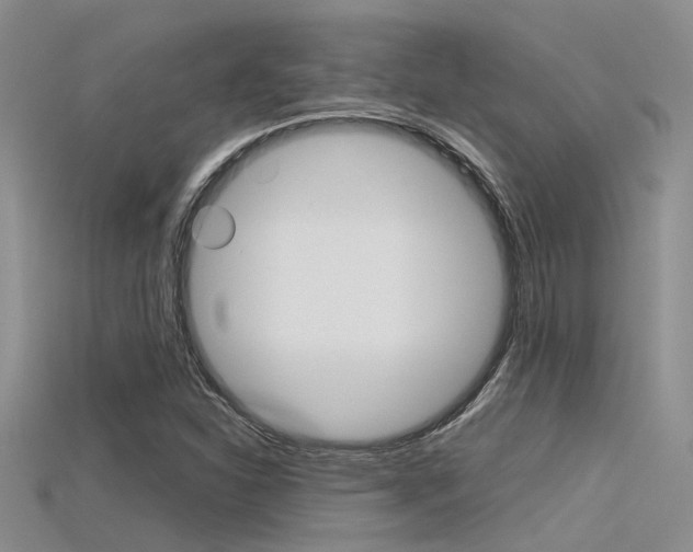X0000115741310200911121054