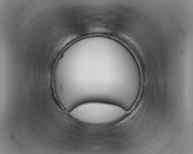 X0000115741313200911121054