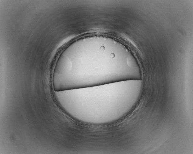X0000115741315200911121054