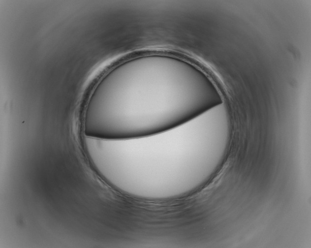 X0000115741319200911121054