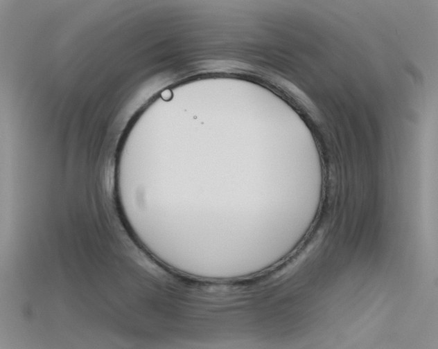 X0000115741322200911121054