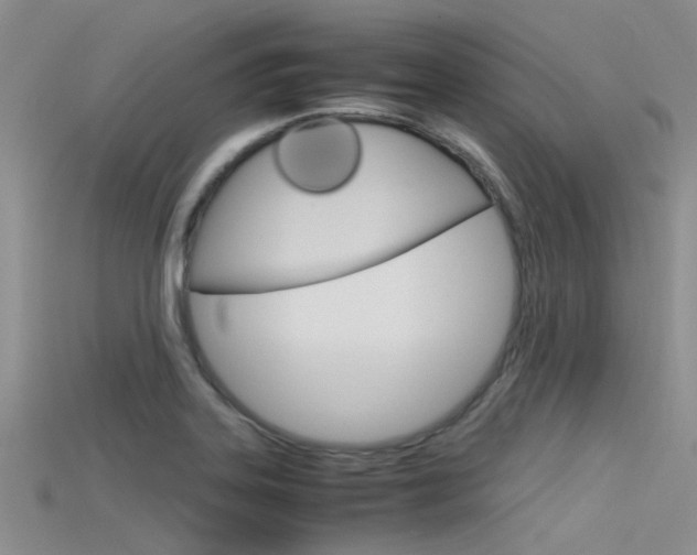X0000115741323200911121054