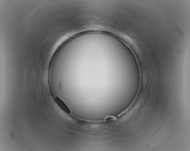 X0000115741326200911121054