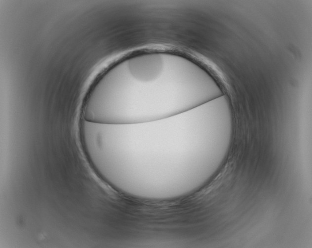 X0000115741327200911121054