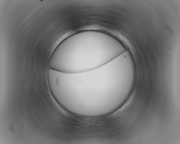 X0000115741329200911121054