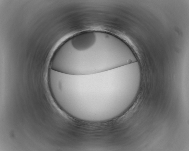 X0000115741331200911121054