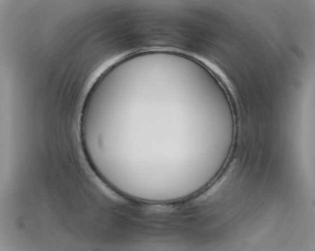 X0000115741333200911121054