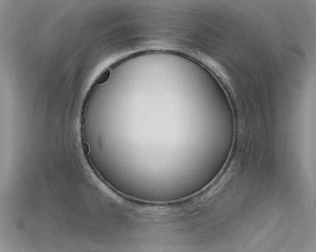 X0000115741334200911121054