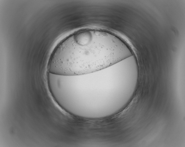 X0000115741335200911121054