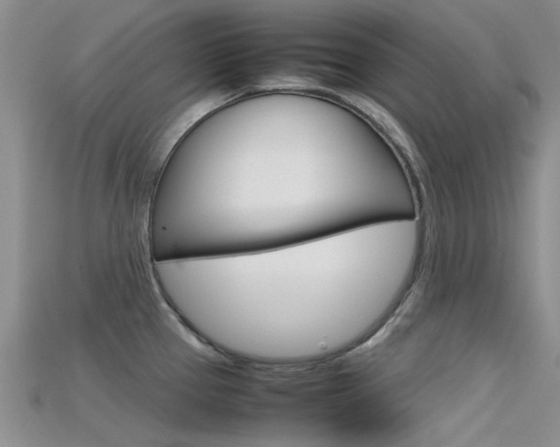X0000115741337200911121054