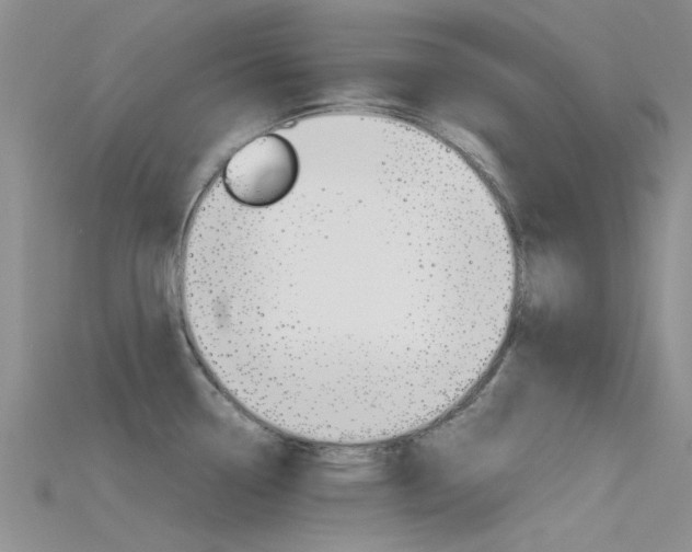 X0000115741338200911121054