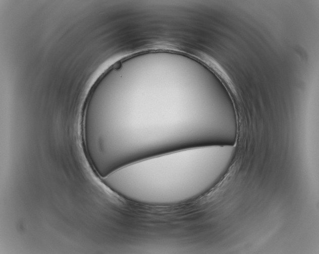X0000115741339200911121054