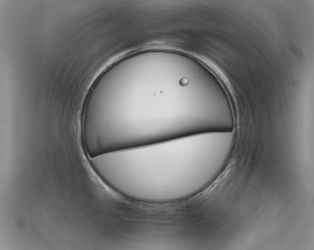 X0000115741341200911121054