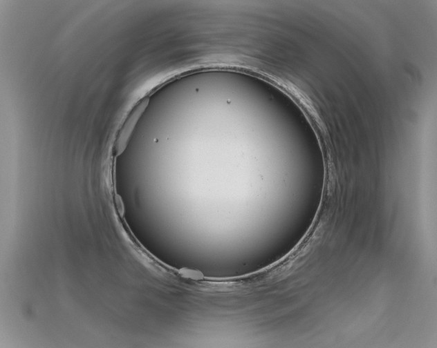 X0000115741342200911121054
