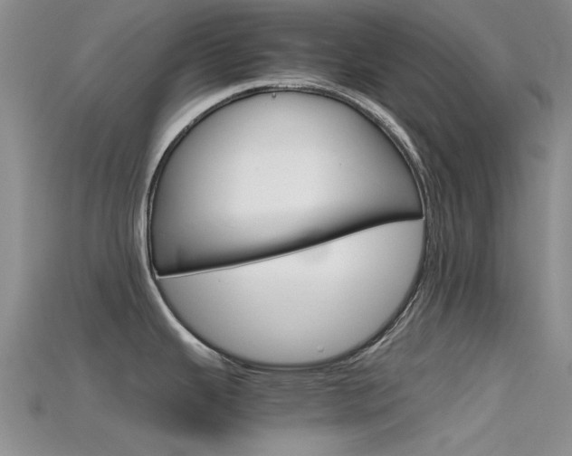 X0000115741343200911121054