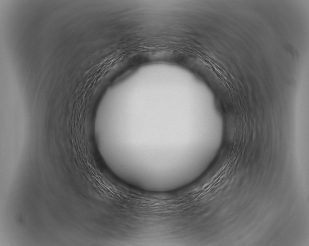 X0000115741345200911121054